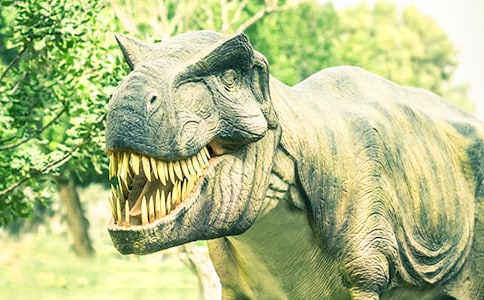 �������Ĝ�^���n��[���A]