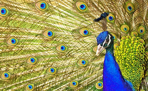 ����ȸ�|���w���̌W(xu��)�O(sh��)Ӌ(j��)�����x21ƪ��