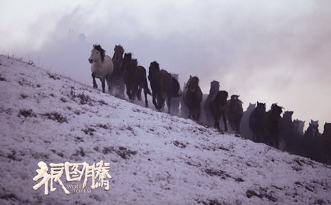 ���ǈD�v���x���и�