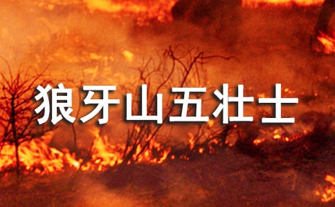������ɽ���ʿ���ڶ��n�r(sh��)�̌W(xu��)�O(sh��)Ӌ(j��)������ͨ��7ƪ��