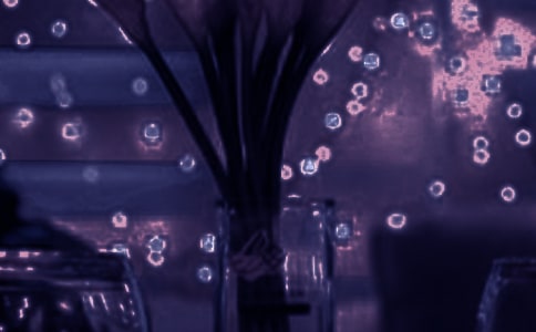 ���ѵ�Ψ�������İ�