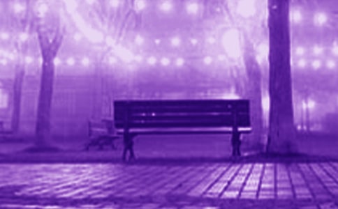 �P(gu��n)������Ψ�����Z360��