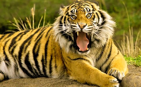 �i�����ϻ��i�Z70��(g��)