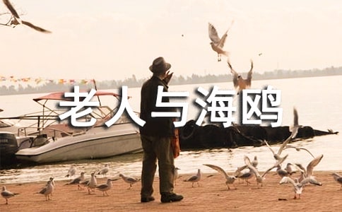 �����c���t�x���100��