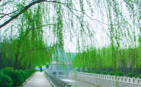 ���f(shu��)����ɢ��