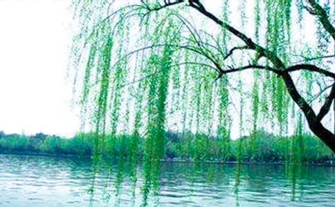 �ڴ�������������~�Z