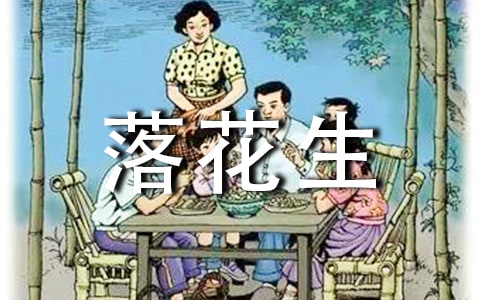 ���仨�����̰�