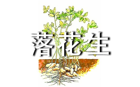 �仨������ӛ����