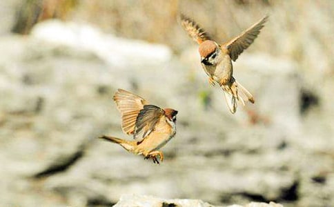 �P(gu��n)����ȸ���i�Z����