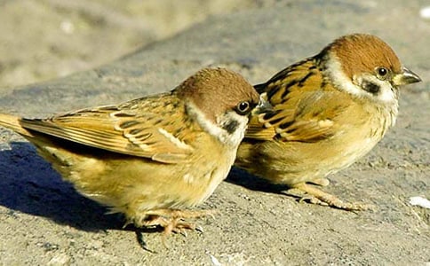 �����x��С��ȸ����