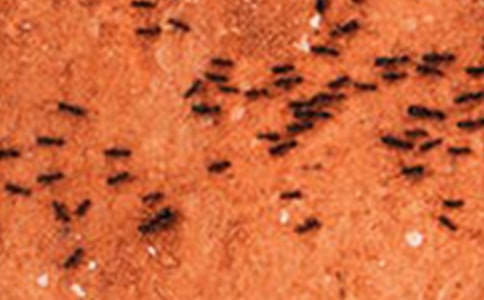 �ܷ��Λρ�F(xi��n)������x��