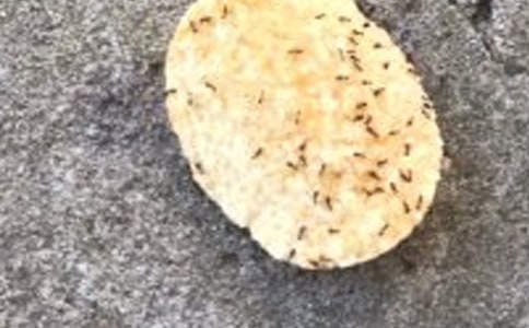 ����(j��ng)�䡿СΛρ����^���D��Ԓ