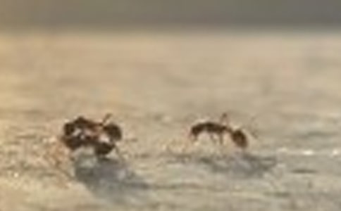 Λρ�^����ӛ