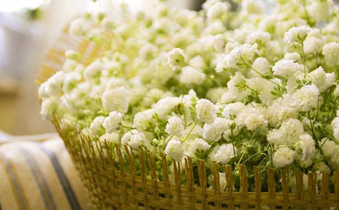 ����(y��u)���M��������