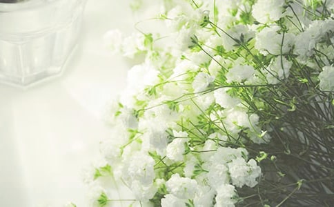 �M���ǵ��f�f