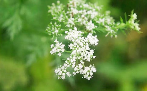 �M��������