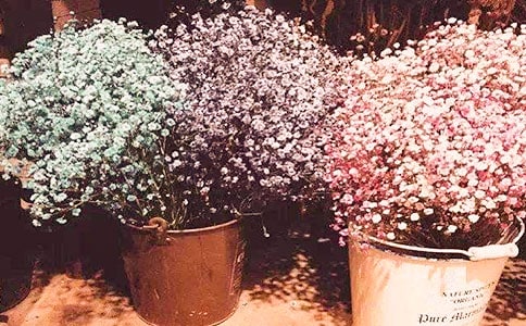 �M��������