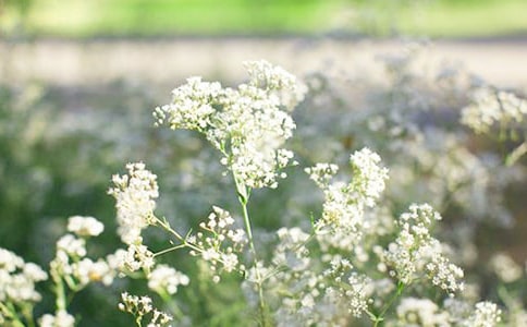 �M��������(10ƪ)