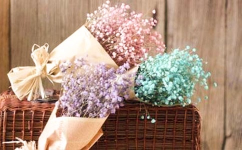 �M��������5ƪ������