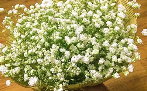 �M���ǳ�����