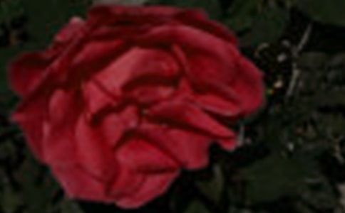 6���Sõ�����ʲô��˼