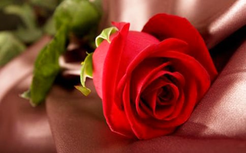 �P(gu��n)��õ����İ�250��