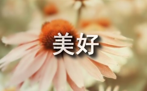 ���õ�����������