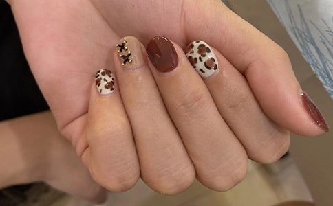 ���׻��(d��ng)����