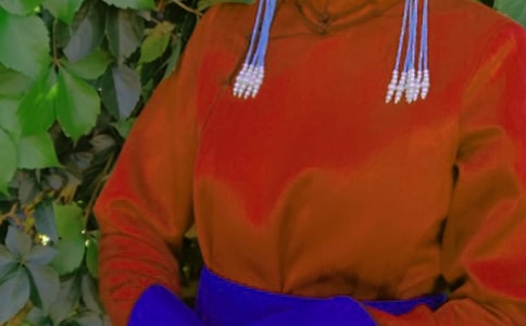 �ɹ������L(f��ng)���׵�����