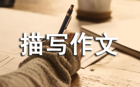 ��(sh��)�õ�����Ƭ���茑����4ƪ