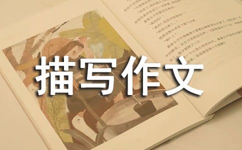 ����Ƭ���茑���ĺϼ�8ƪ