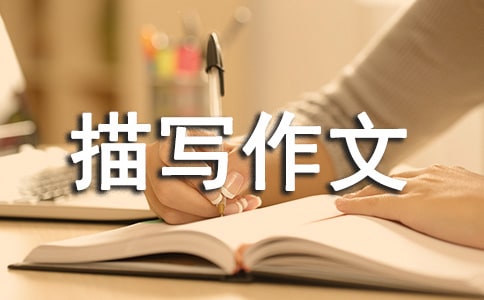 ���P(gu��n)����Ƭ���茑����3ƪ
