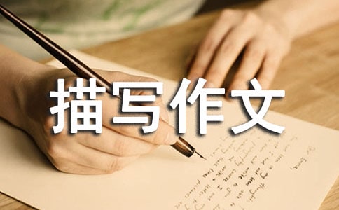 ���������茑����800��