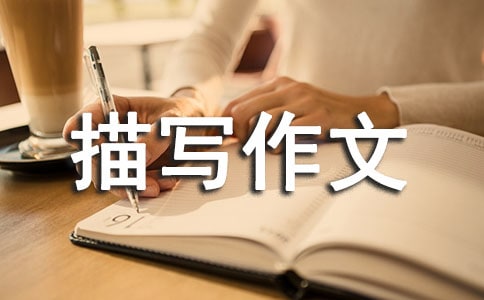 Ф���茑���Ľ̰����n��