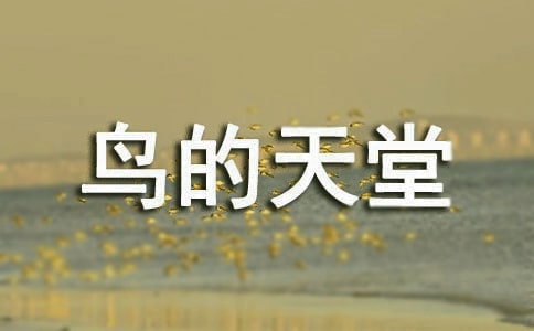 �B���������ă�(y��u)�x��15ƪ��