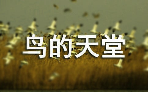 ���]���B�������n��˼5ƪ