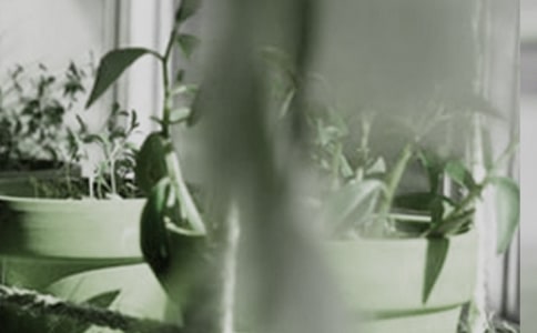 �����m����ͥ�B(y��ng)�oע�����