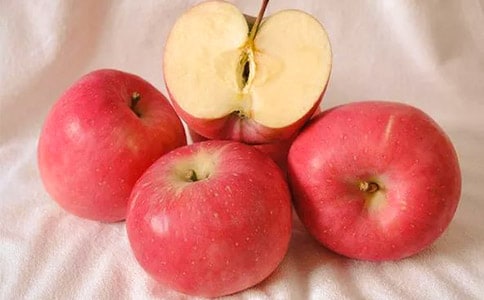 ����һֻ�O���������Ԋ(sh��)��