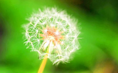 �i�����ѹ�Ӣ���i�Z����Щ