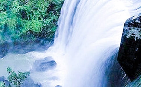 �Ŗ|�ٲ���������