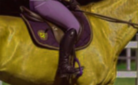 ���P(gu��n)��һ���T�R���ĺϼ���ƪ