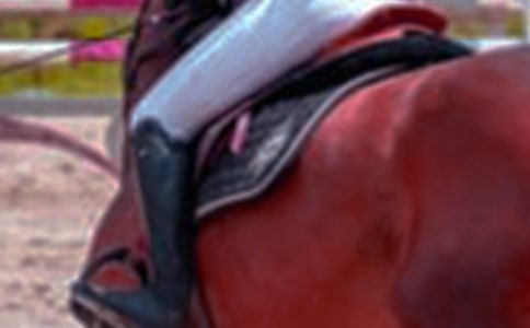 �T�R��(ch��ng)��������