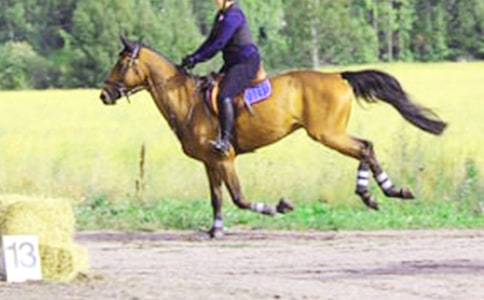 С�W(xu��)���ģ��T�RСӛ