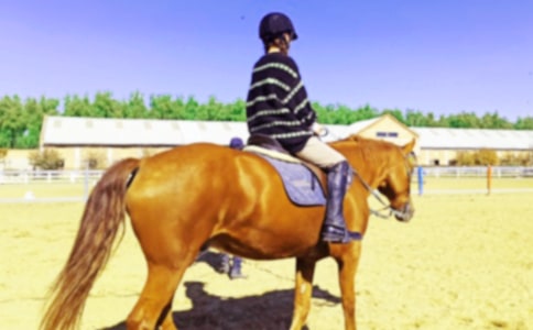 С�W(xu��)���W(xu��)�T�R����500��
