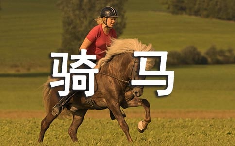 ��һ���T�R���ĺϼ�7ƪ