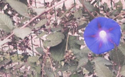 ���꼉���������ģ�ͨ��29ƪ��