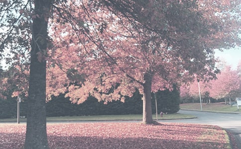 С�W(xu��)�＾�W(xu��)�ڵ����Ĺ���Ӌ(j��)��