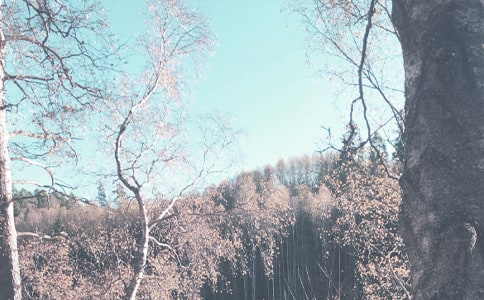 С�W(xu��)�＾�����(du��)�Ĺ���Ӌ(j��)��