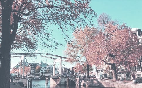 �＾��������(g��)�˹���Ӌ(j��)�������x7ƪ��