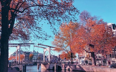 �����S���S�P